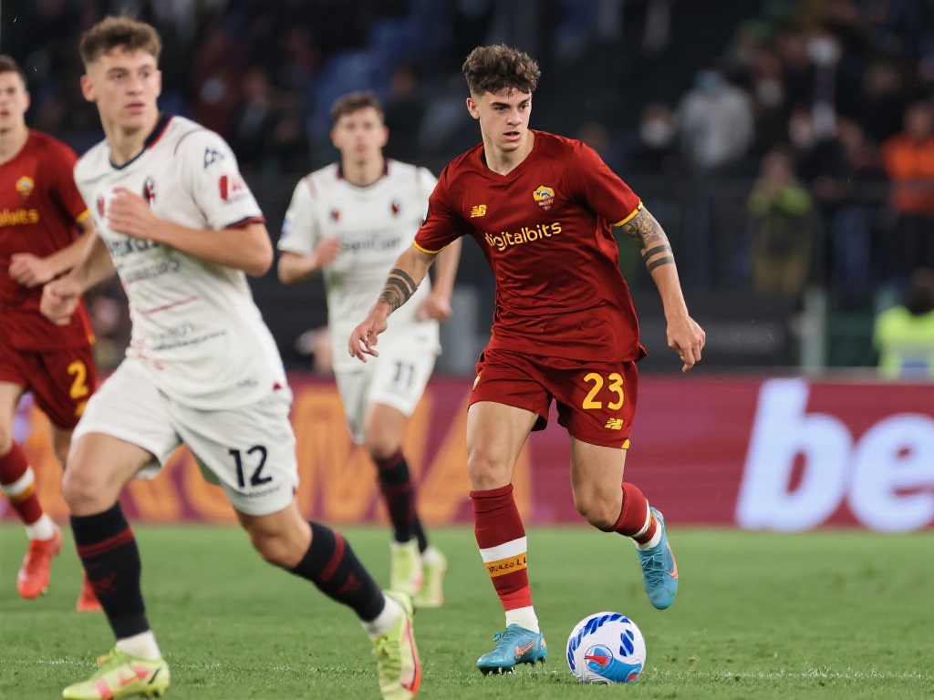 被融入制作 被融入制作